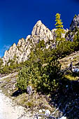 Parco Naturale Fanes-Senes-Braies. La traversata da San Vigilio di Marebbe al lago di Braies, 
lungo la salita verso il Passo Croce. 